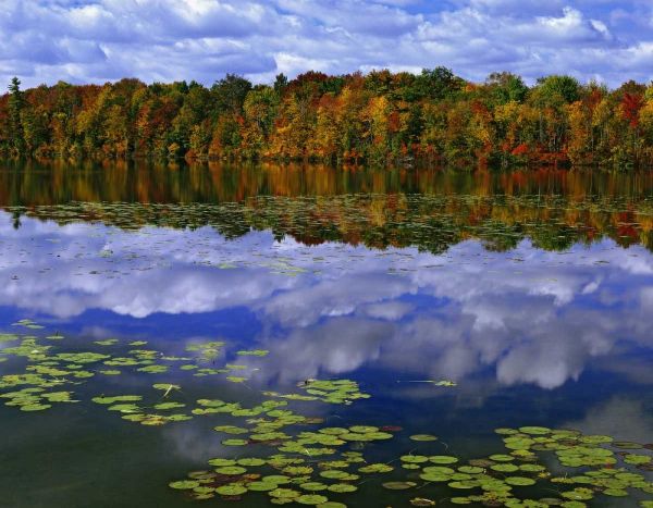 Canada, Ontario Autumn around Park Haven Lake